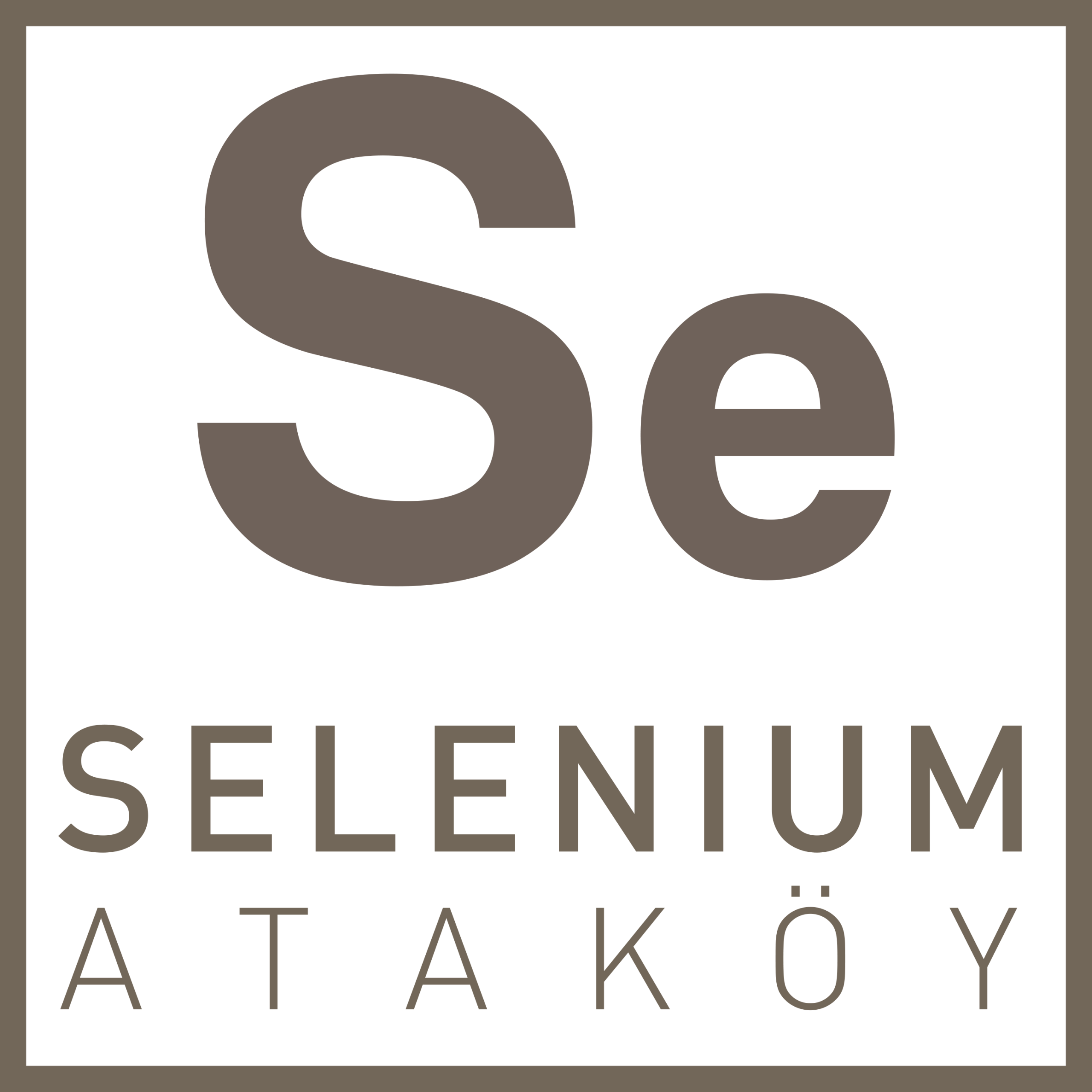 SELENIUM-ATAKOY-LOGO